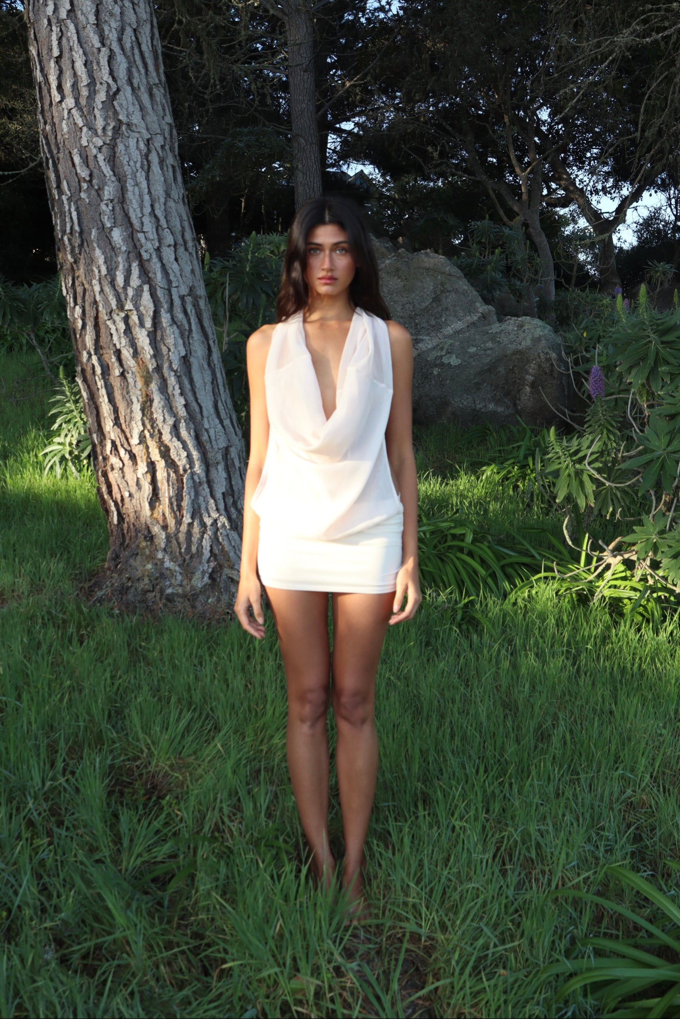 ALLURA DRESS - POWDER